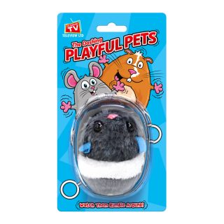 Playful Pets - Gerry